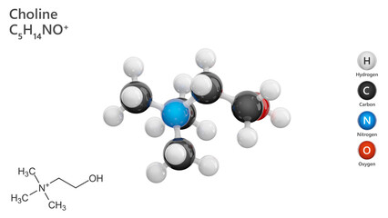 Molecule: Choline. Essential nutrient. Molecular structure. Formula: C5H14NO. Chemical model: Ball and stick. White background. 3D illustration.