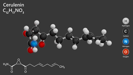 Molecule: Cerulenin. Antifungal agent. Molecular structure. Formula: C12H17NO3. Chemical model: Ball and stick. Gray background. 3D illustration.