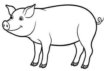 pig illustration