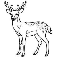 silhouette of a deer