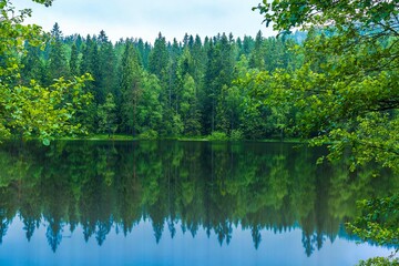 Beautiful lake view on summer