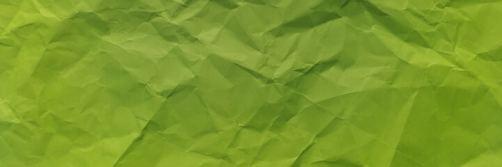 Illustration abstract parrot green color crumpled paper texture background vector. Crumpled paper texture abstract background.