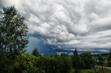 clouds over the forest