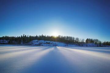winter landscape with snow covered trees