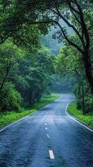 Fototapeta premium Rainy Day Road Through Lush Green Forest Canopy