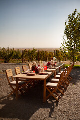 a set table with flowers, fruits and candles for a festive event in nature among the vineyards