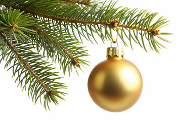 A shiny gold ornament hangs from a pine branch, symbolizing festive holiday cheer and decoration.