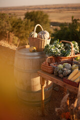 Harvest market scene. A small market at the winery, where people buy fresh produce directly from farmers supporting sustainability. Concept of slow living.