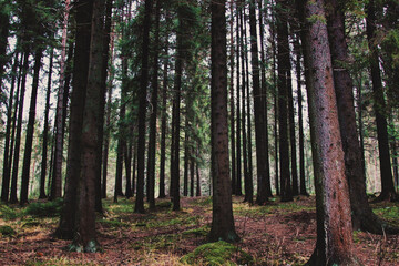 Processed with VSCOcam with lv03 preset