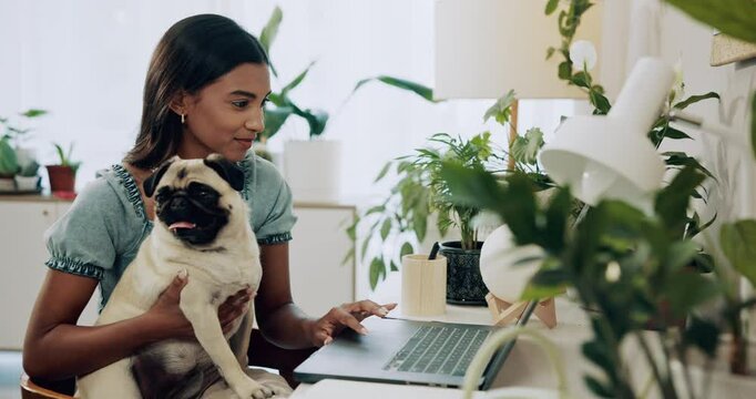 Laptop, remote work or study with Indian girl and dog in home office for development or learning. Computer, education or freelance with happy entrepreneur and pet in apartment for online research