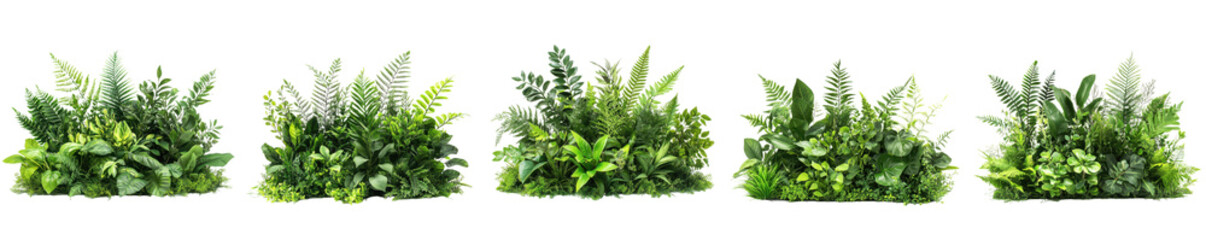 Obraz premium Lush Greenery Tropical Foliage Green Plants Botanical Garden Nature Background Floral Arrangement