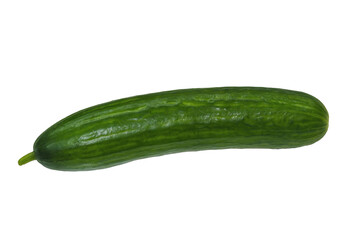 Ripe green cucumber isolate on a white background.