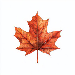 Obraz premium detailed of single maple leaf in vibrant orange hues, showcasing intricate vein patterns and textures. This artwork captures essence of autumn beauty