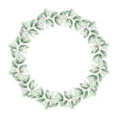 Green eucalyptus leaves round frame. Watercolor hand drawn illustration isolated on white background. Elegant botanical wreath with copy space for text. Wedding invitation, birthday cards, templates