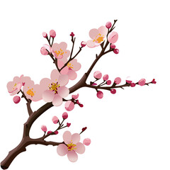 Pink Cherry Blossom Branch with Flowers and Buds – Detailed Floral Vector Illustration