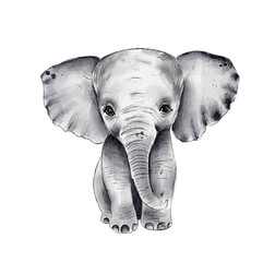 Watercolor Baby Elephant. cute cartoon illustration. Isolated on a white background.