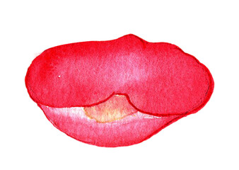 Hand-drawn Red rose petals Watercolor