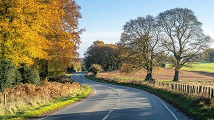 Autumnal Country Road Winding Through Colorful Trees