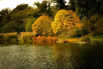 Kearsney Abbey Gardens