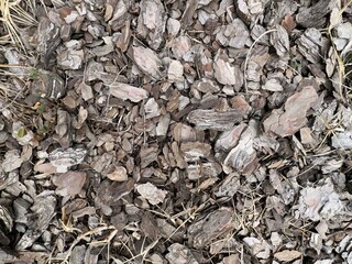 Mulching the soil with bark. Pieces of pine bark are carpeted on the surface of the earth. Red brown natural background. Soil mulching design. Decorative pine bark beautiful woody natural background.
