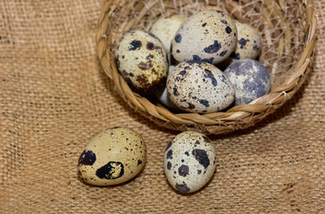 Obraz premium animal foods. quail eggs photos.