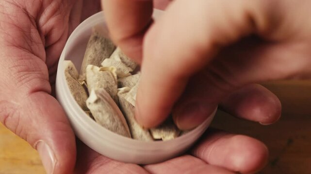 Snus nicotine tobacco close up, pack of tobacco for gum. unhealthy addiction. Man opening box with snus and taking one. 