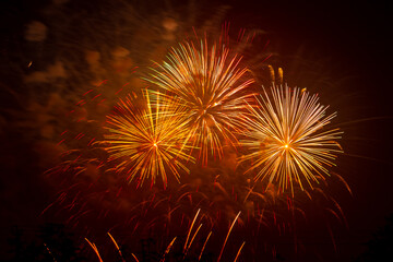 Red orange bright sparks of fireworks on the black sky