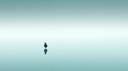 Serene solitude of a bird reflected in calm waters
