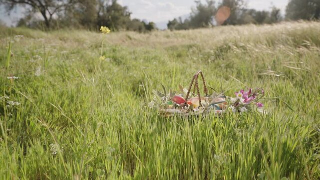 A Woven Basket Filled with Colorful Easter Eggs and Flowers is Placed Among Tall Grass in a Sunlit Field. Slow motion.