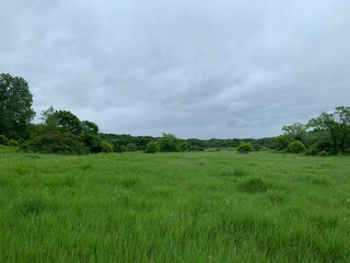 Obraz premium field view