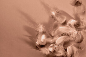 Abstract background with soft mocha mousse feathers and shadows