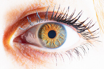 detailed eye macro close up picture