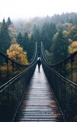 Obraz premium Wooden bridge with steel railings