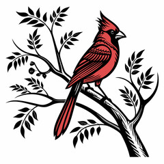 cardinal vector,christmas cardinal  ai