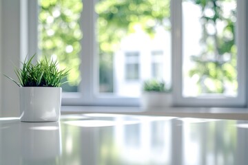 Fototapeta premium A bright indoor space featuring a small potted plant on a table with sunlight streaming in.