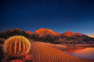 sunset in the desert