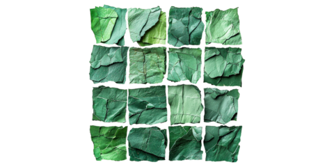 Collection of torn green papers arranged in grid isolated on transparent background