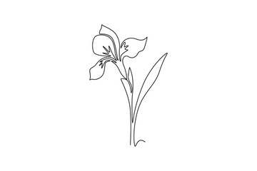 Continuous one line drawing beauty fresh perennial plants for wall decor home art poster print. Decorative iris flower concept for invitation card. Single line draw design vector graphic illustration