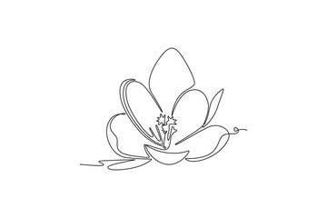 Single continuous line drawing beauty fresh croci for home wall art decor poster print. Printable decorative crocus flower concept for card ornament. One line draw graphic design vector illustration