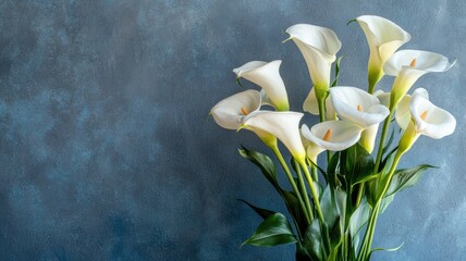 Bouquet of white calla lilies against textured blue background