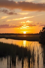 Beautiful sunset on the Wadmalaw River