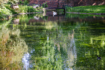 Obraz premium lac dans le jardin de la mairie de Villennes-sur-Seine