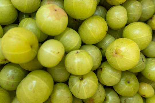 Fresh Amla Close-Up - Indian Gooseberry Fruit for Health and Wellness