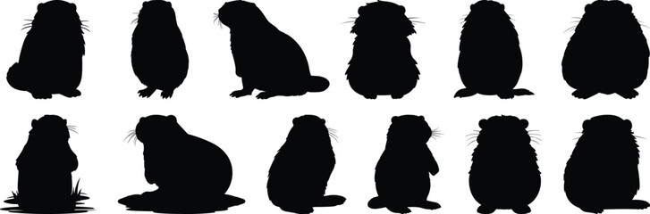 Beaver silhouettes set, animal pack of vector silhouette design, isolated background