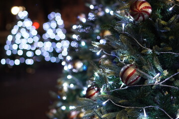 christmas tree lights