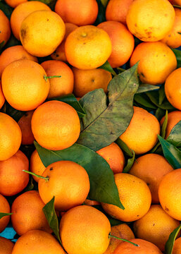 arri&egrave;re plan avec des cl&eacute;mentines corses, png, transparence