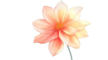 Fototapeta premium A flower made of watercolor isolated on white background.