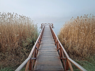 Obraz premium Wooden dock extending into a foggy lake, flanked by tall, dry reeds. Serene and atmospheric scene with the mist creating a sense of calm and mystery