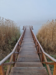 Obraz premium Wooden dock extending into a foggy lake, flanked by tall, dry reeds. Serene and atmospheric scene with the mist creating a sense of calm and mystery