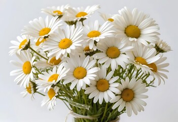 Fototapeta premium bouquet of daisies